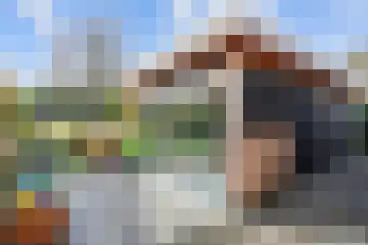 Veenweg 43 De Wilp thumbnail 6