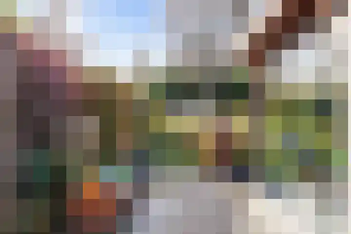 Veenweg 43 De Wilp thumbnail 60