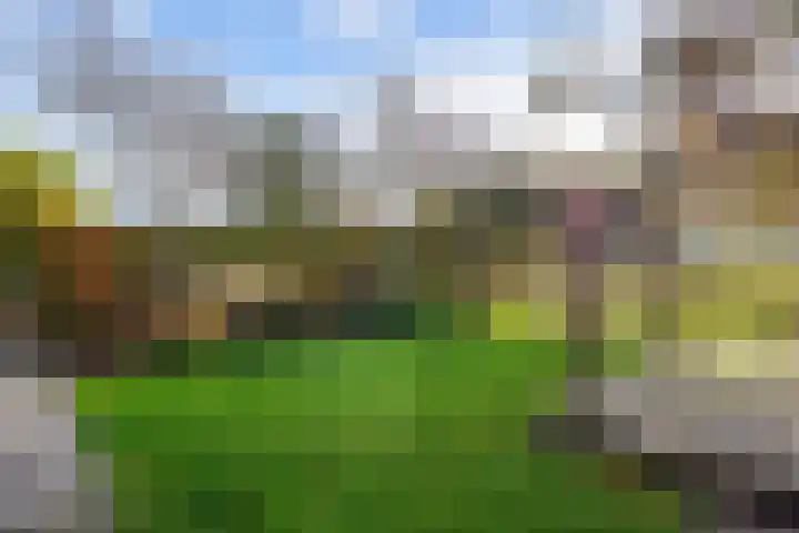 Veenweg 43 De Wilp thumbnail 61