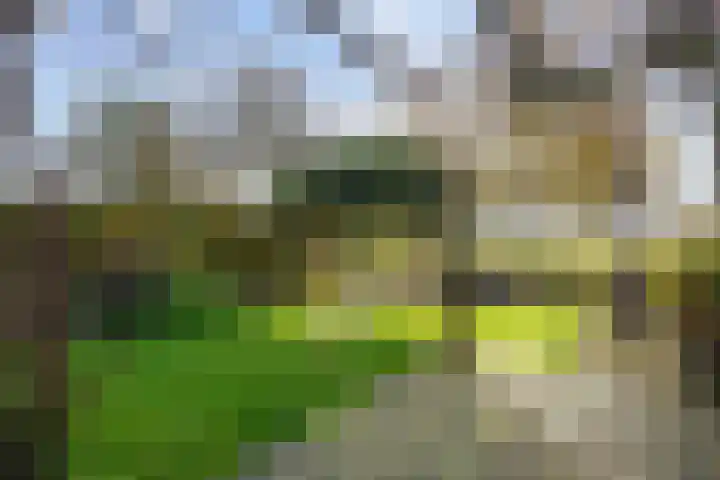 Veenweg 43 De Wilp thumbnail 62