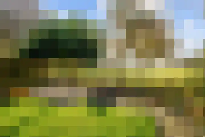 Veenweg 43 De Wilp thumbnail 63
