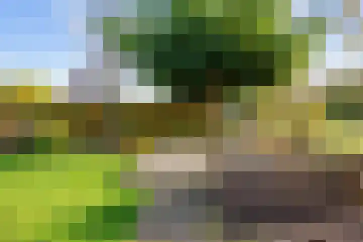 Veenweg 43 De Wilp thumbnail 64