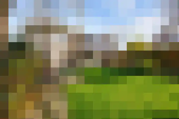 Veenweg 43 De Wilp thumbnail 65