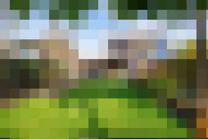 Veenweg 43 De Wilp thumbnail 66