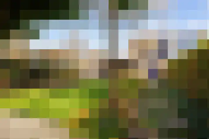 Veenweg 43 De Wilp thumbnail 67