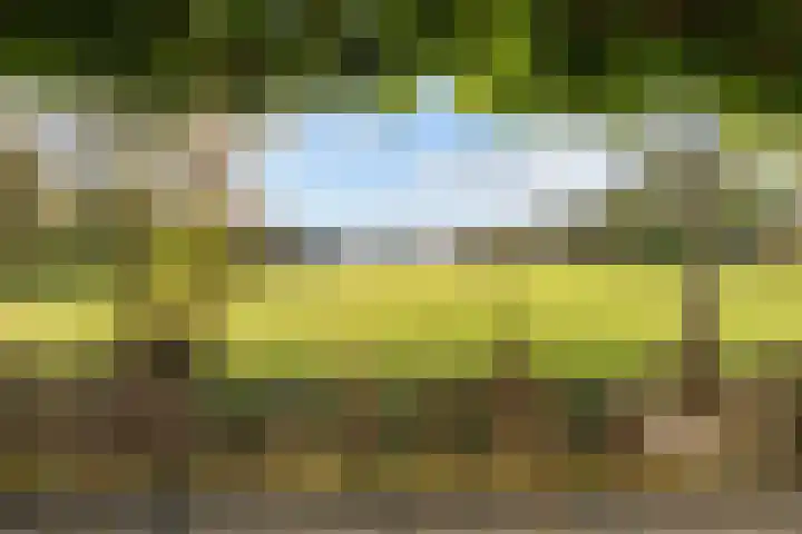 Veenweg 43 De Wilp thumbnail 68