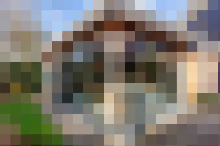 Veenweg 43 De Wilp thumbnail 69