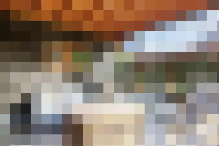 Veenweg 43 De Wilp thumbnail 71