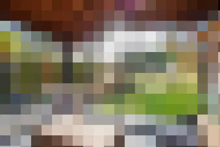 Veenweg 43 De Wilp thumbnail 72
