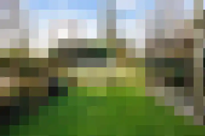 Veenweg 43 De Wilp thumbnail 73