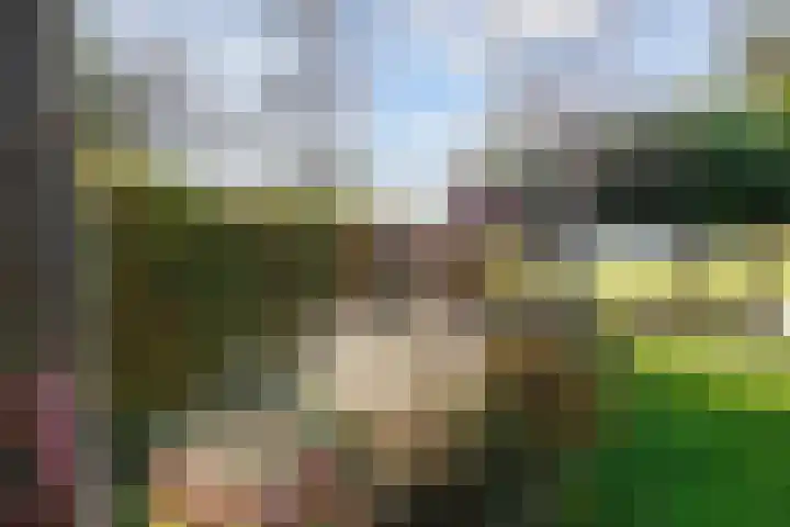 Veenweg 43 De Wilp thumbnail 74