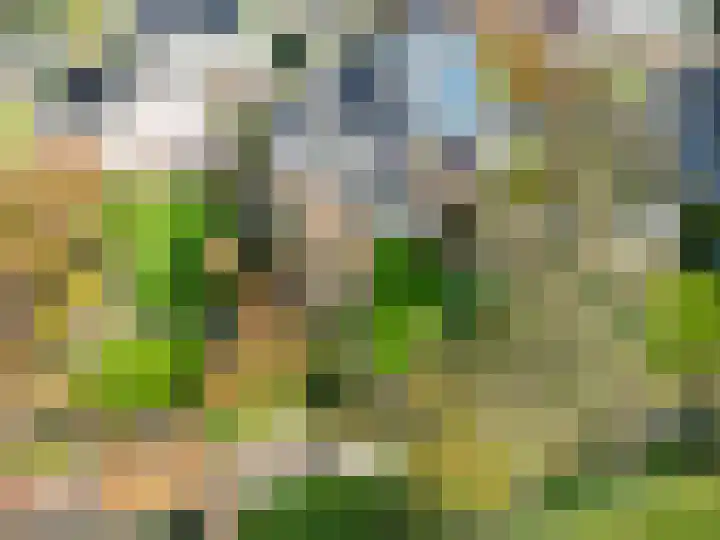 Veenweg 43 De Wilp thumbnail 76
