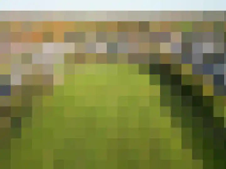 Veenweg 43 De Wilp thumbnail 77