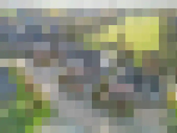 Veenweg 43 De Wilp thumbnail 8