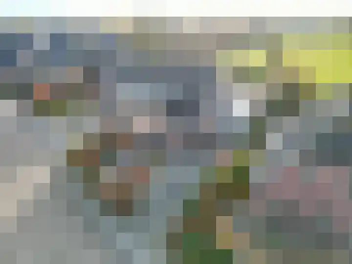 Veenweg 43 De Wilp thumbnail 9