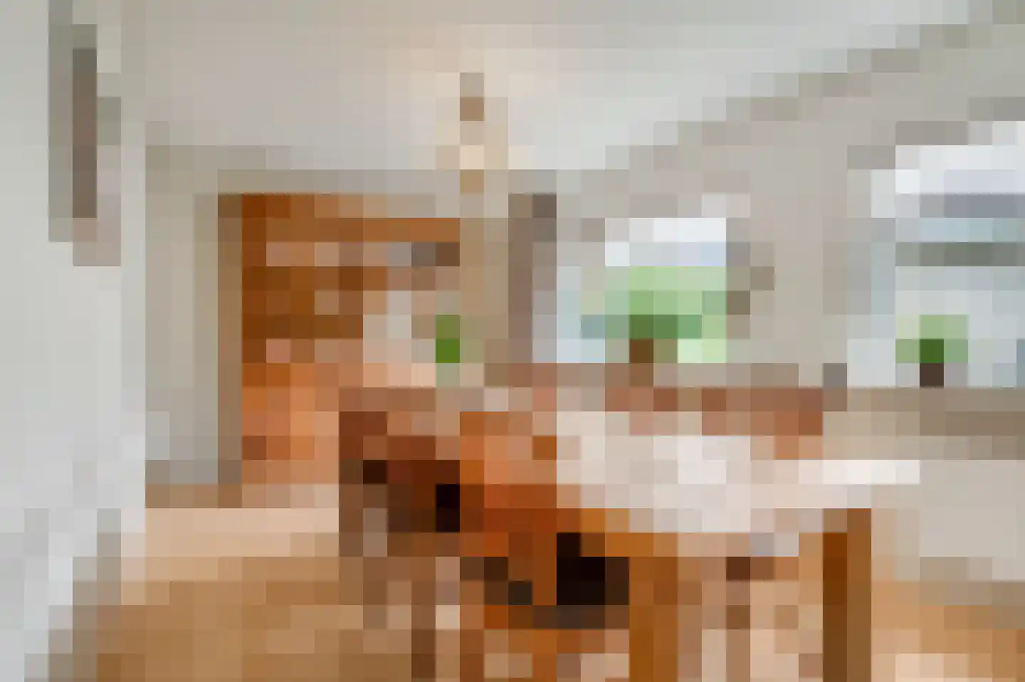 Veenweg 44 Lunteren thumbnail 30