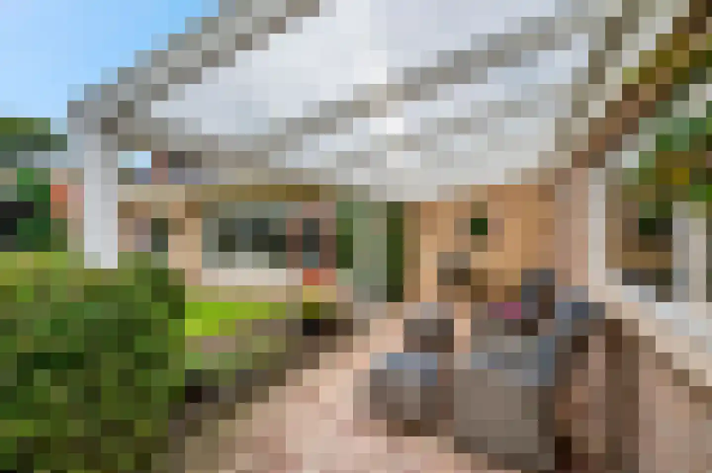 Veenweg 44 Lunteren thumbnail 39