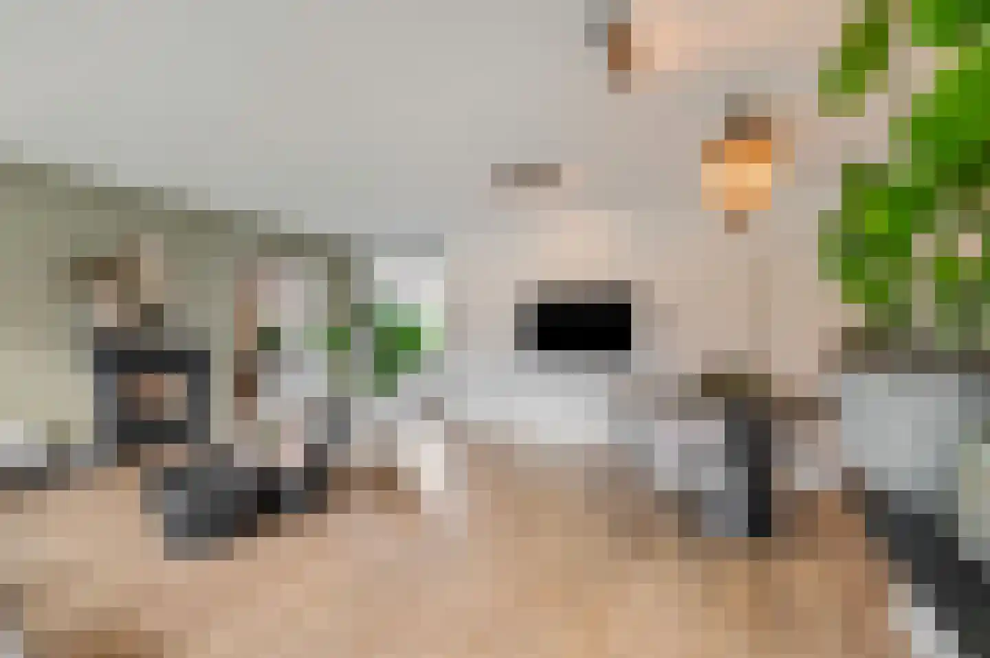 Veenweg 44 Lunteren thumbnail 4
