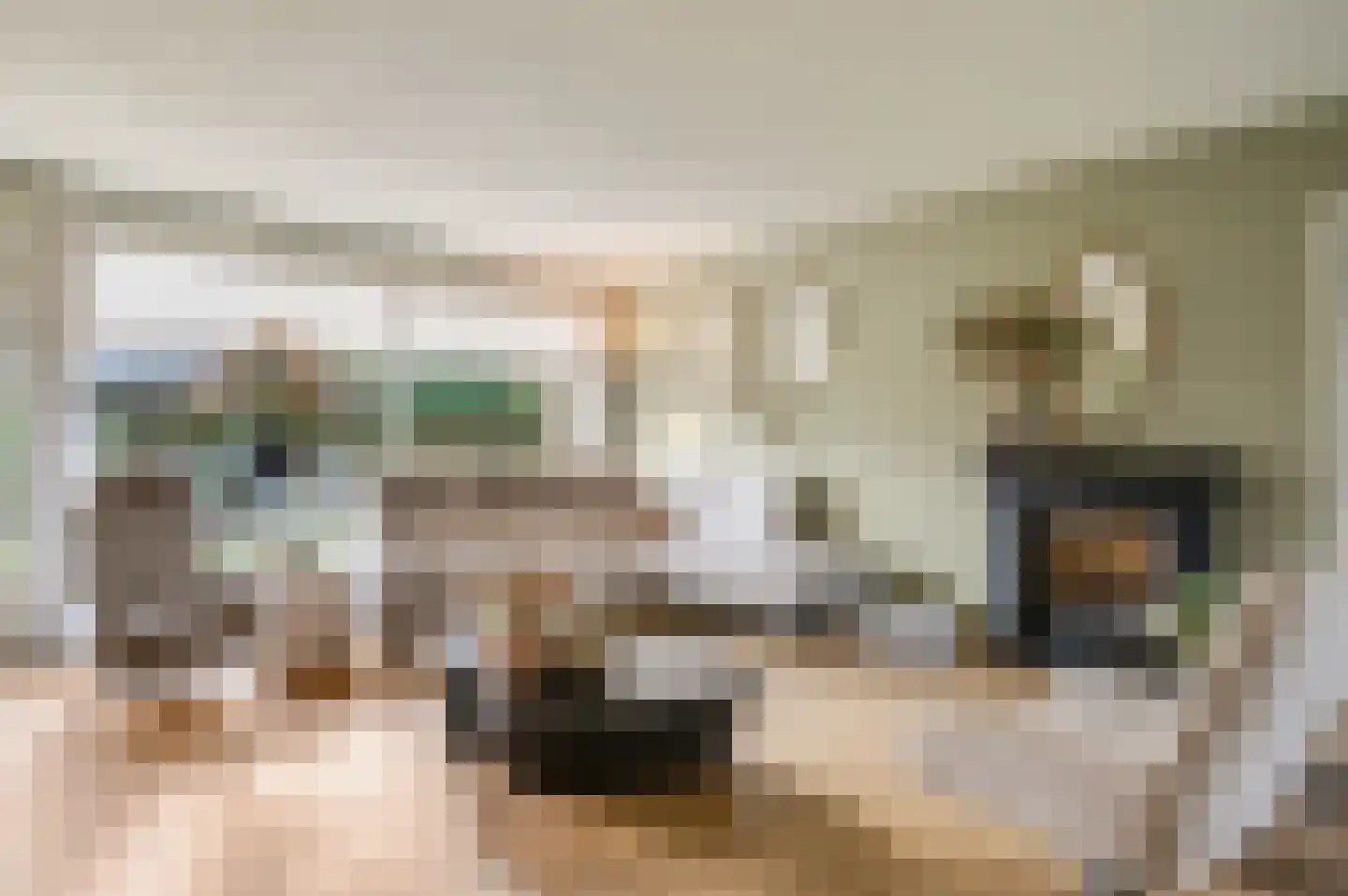Veenweg 44 Lunteren thumbnail 6