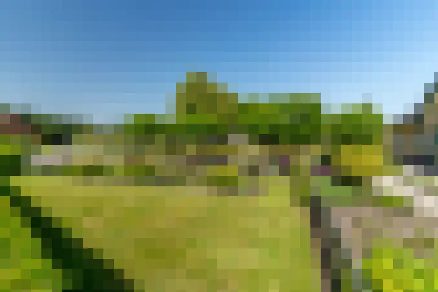 Veenweg 46 a Elspeet thumbnail 13