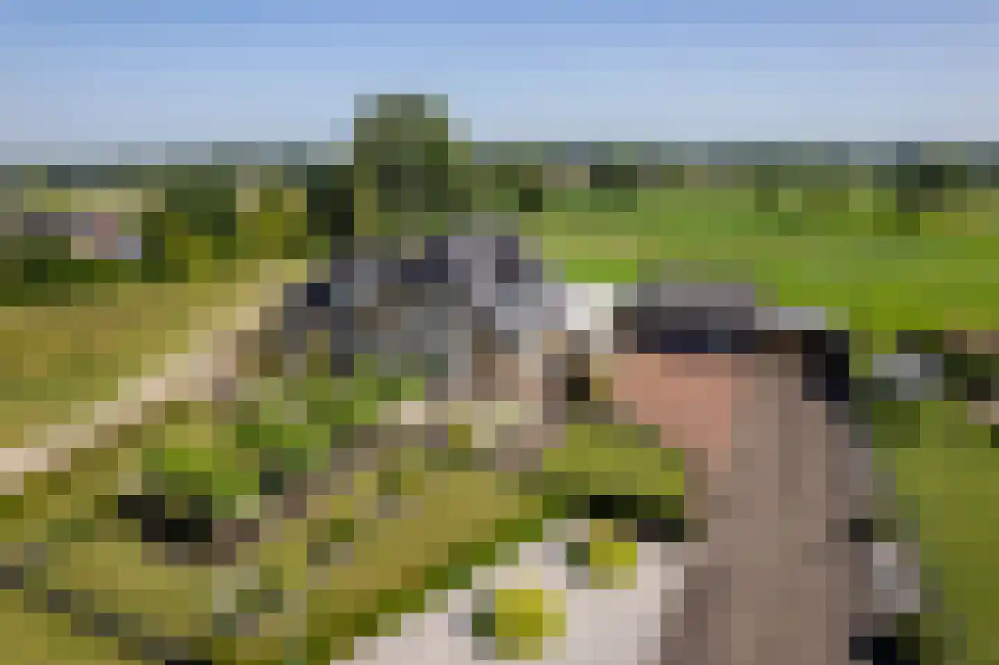 Veenweg 46 a Elspeet thumbnail 23