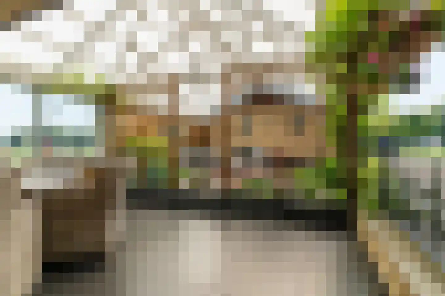 Veenweg 46 a Elspeet thumbnail 8