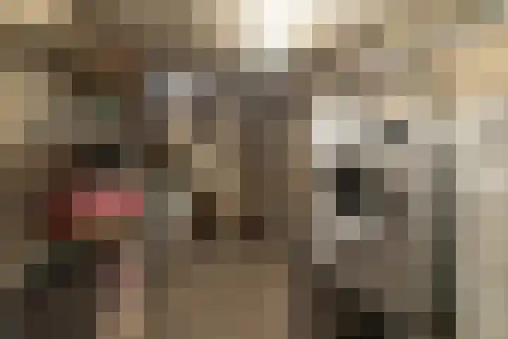 Veenweg 5 Beek thumbnail 27