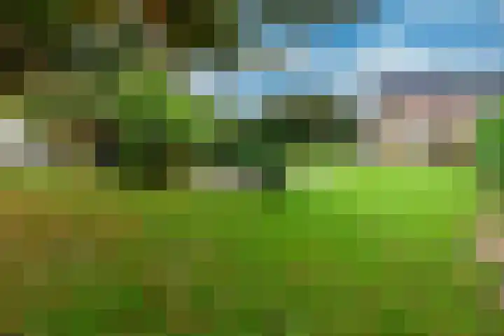 Veenweg 5 Beek thumbnail 29