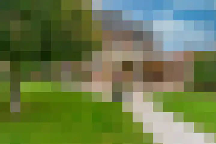 Veenweg 5 Beek thumbnail 30