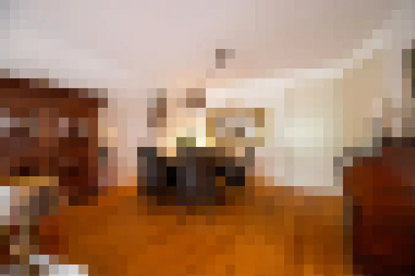 Veenweg 5 Elspeet thumbnail 12