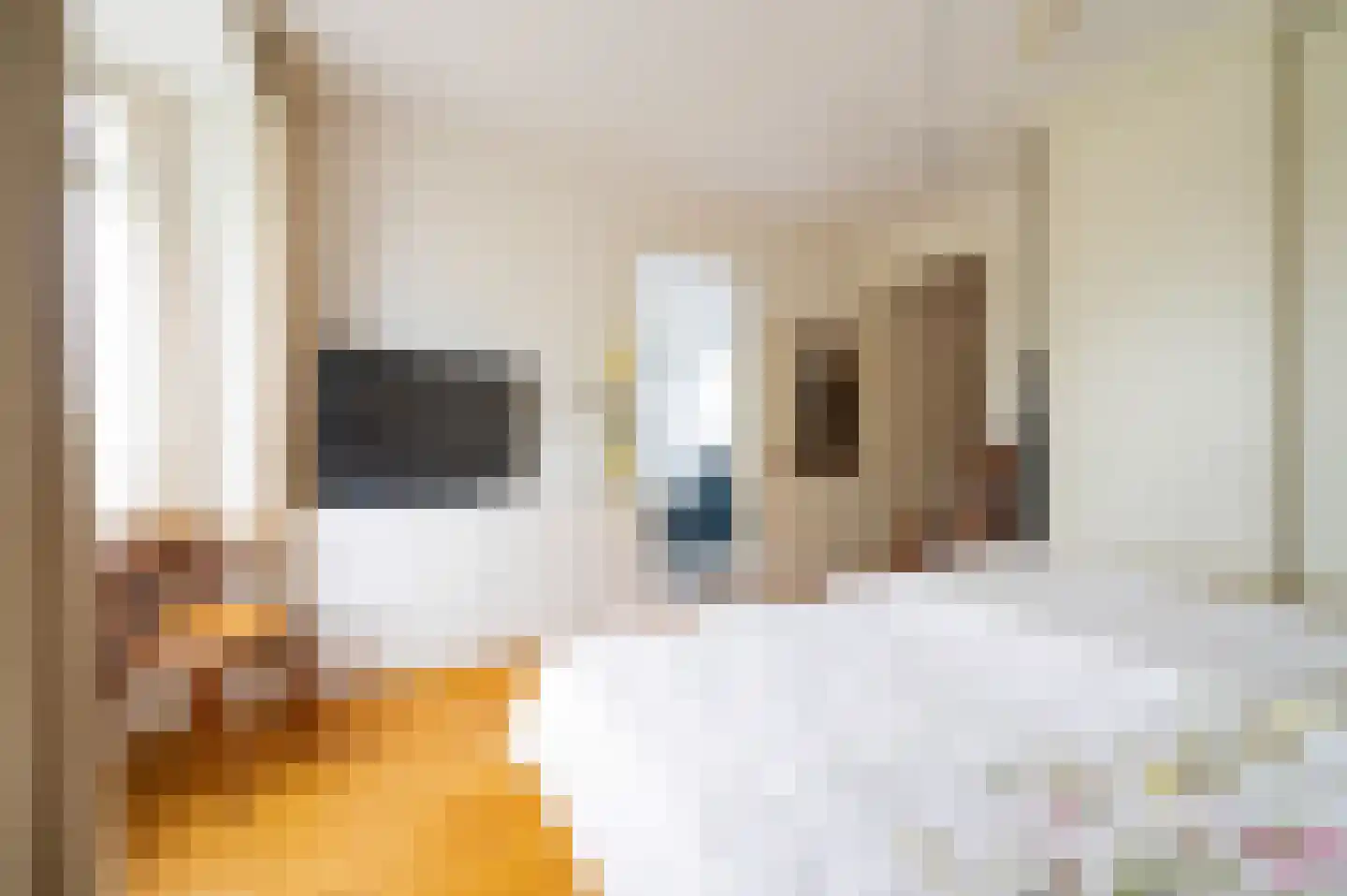 Veenweg 5 Elspeet thumbnail 16