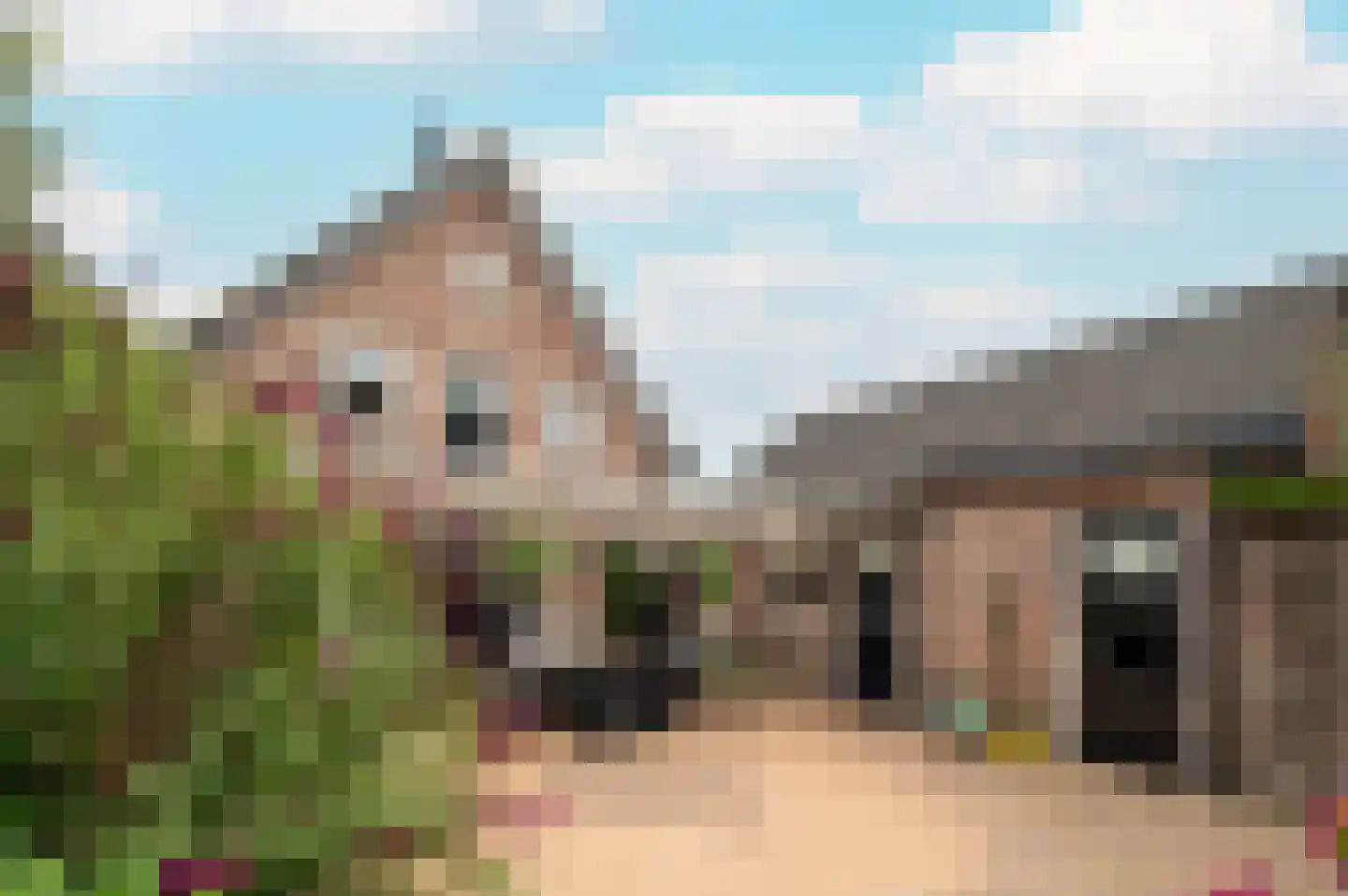 Veenweg 5 Elspeet thumbnail 38