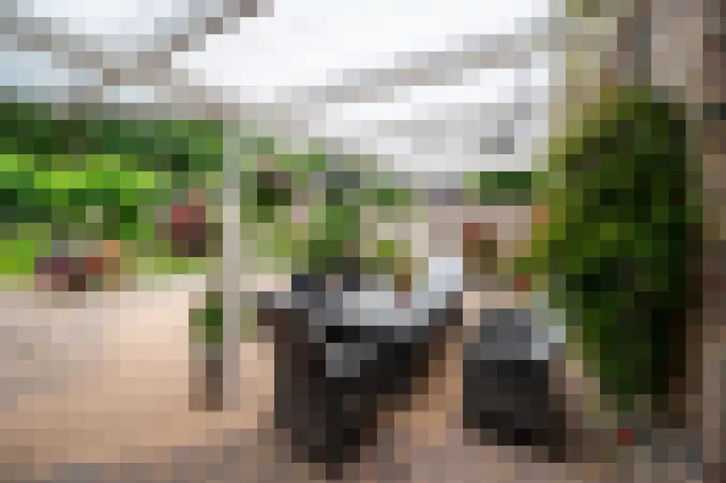 Veenweg 5 Elspeet thumbnail 39