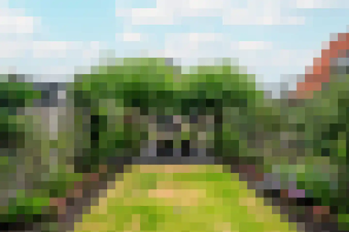 Veenweg 5 Elspeet thumbnail 4