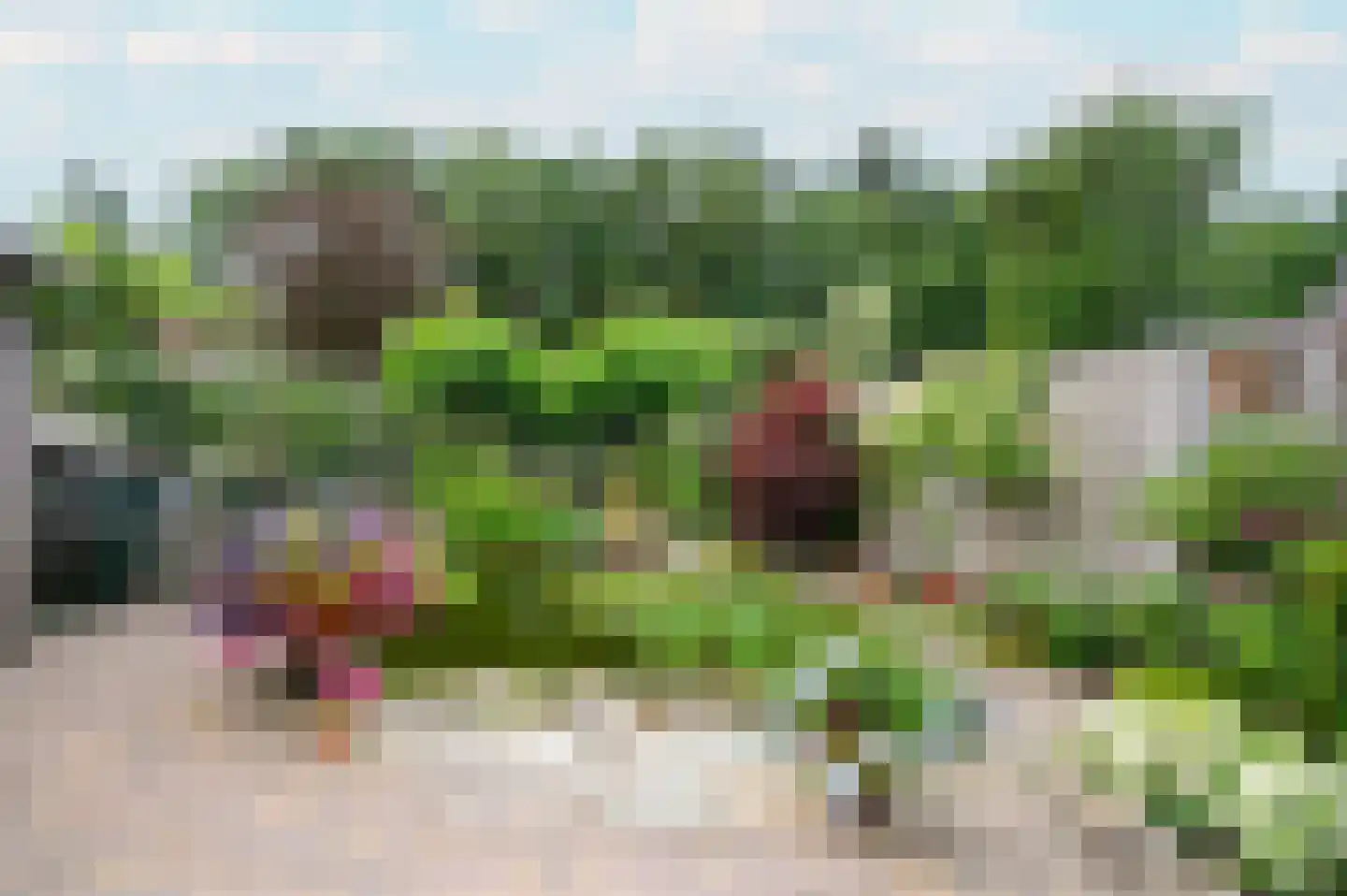 Veenweg 5 Elspeet thumbnail 40