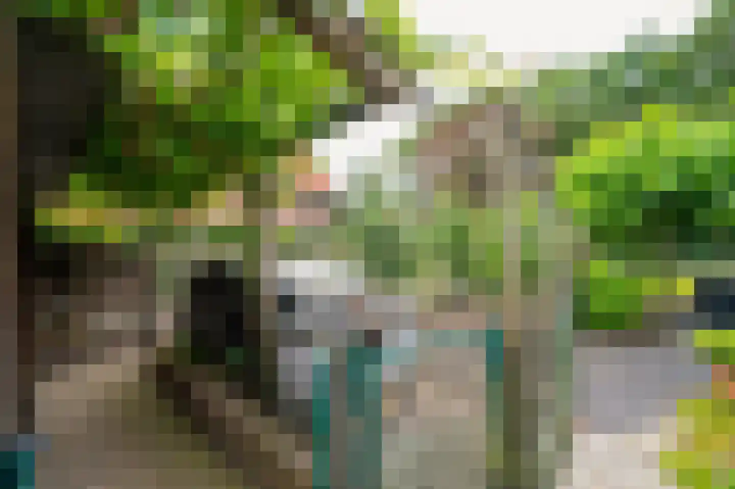 Veenweg 5 Elspeet thumbnail 42