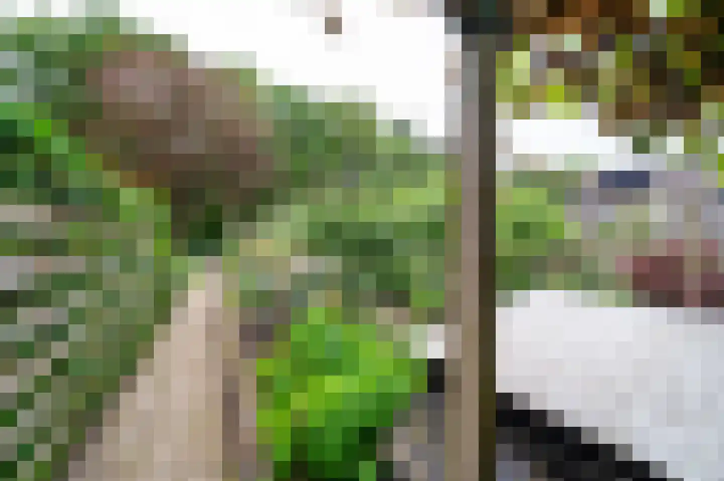Veenweg 5 Elspeet thumbnail 43