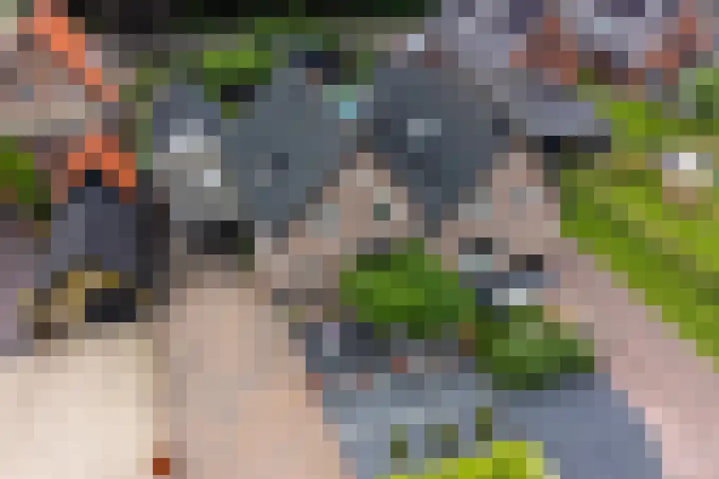 Veenweg 5 Elspeet thumbnail 46