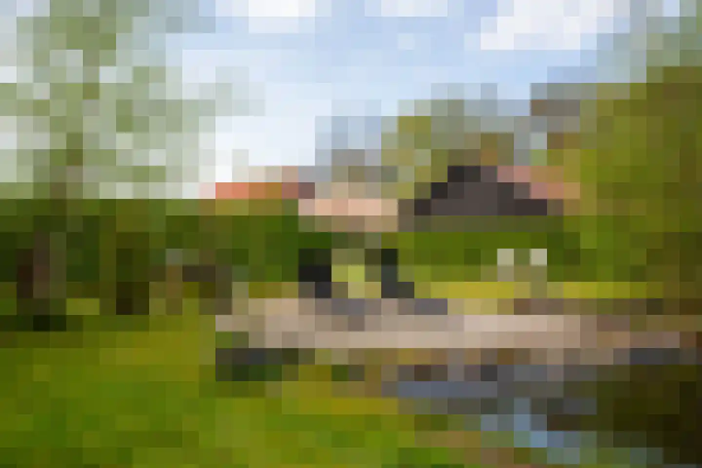 Veenweg 5 Winterswijk Kotten thumbnail 60