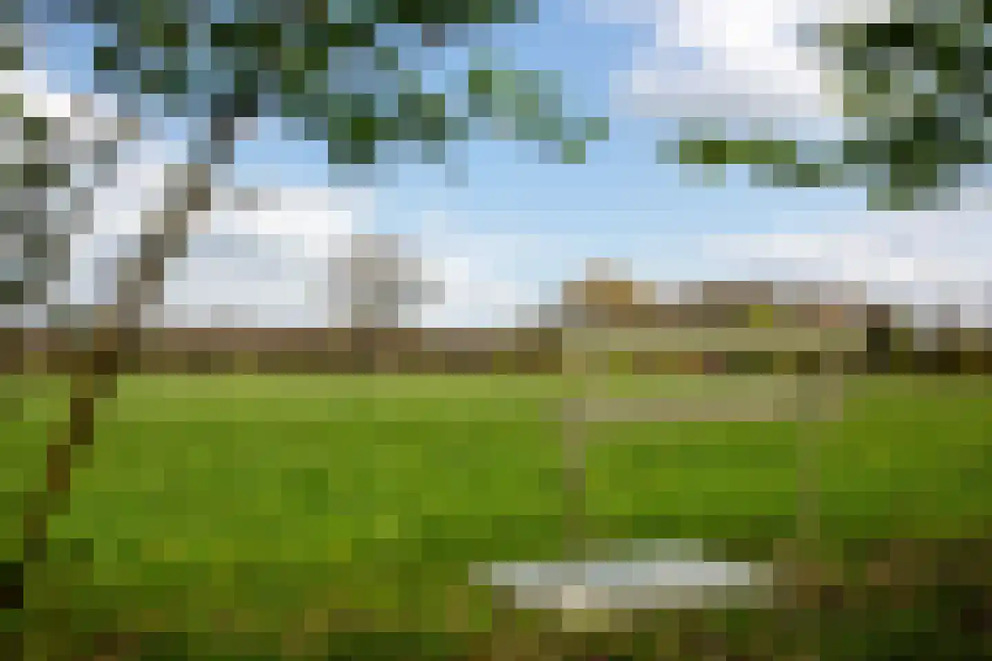 Veenweg 5 Winterswijk Kotten thumbnail 63