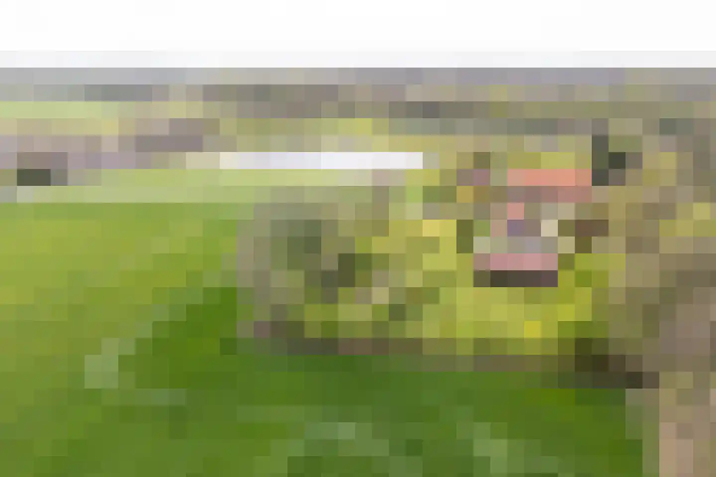 Veenweg 5 Winterswijk Kotten thumbnail 67