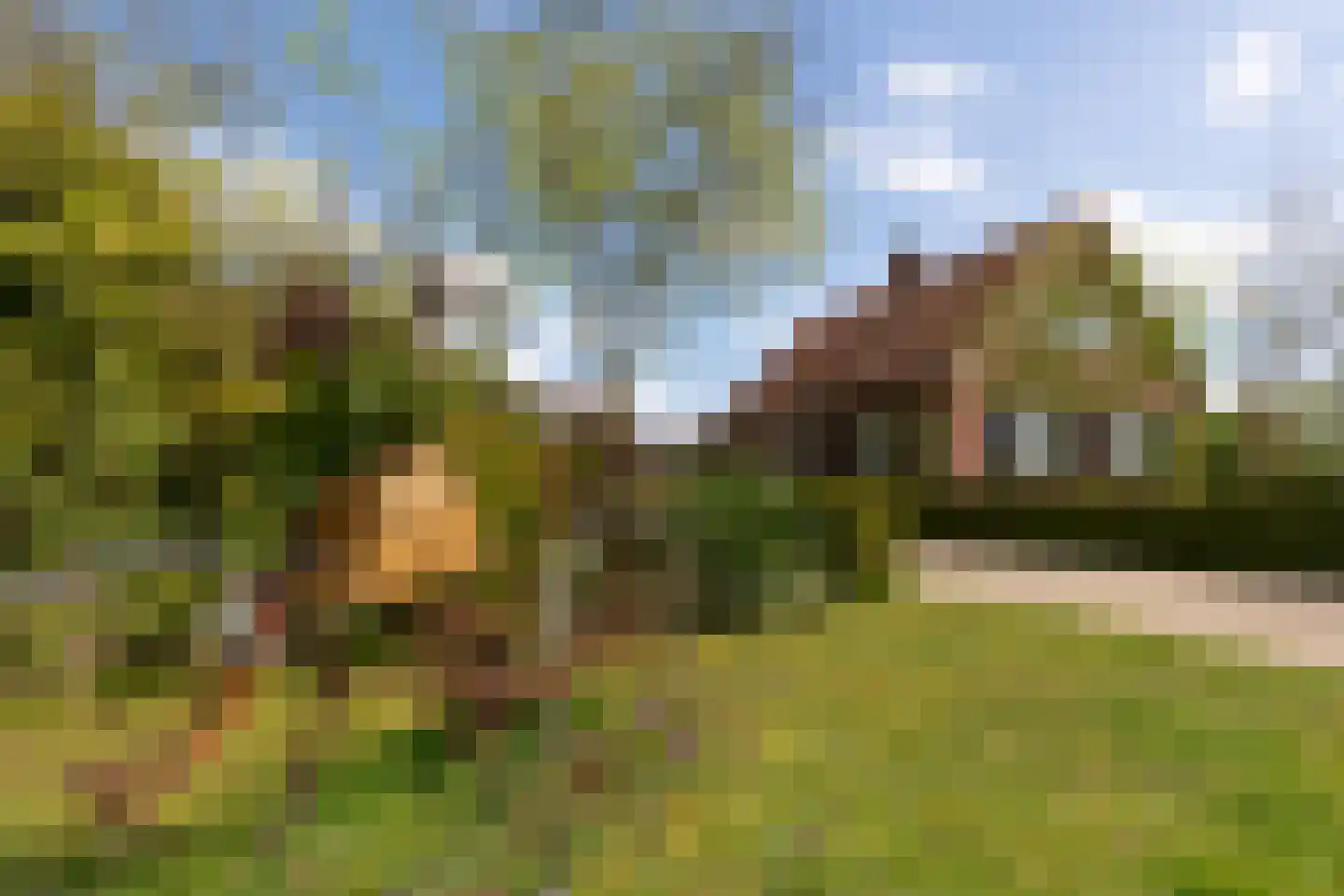 Veenweg 5 Winterswijk Kotten thumbnail 71