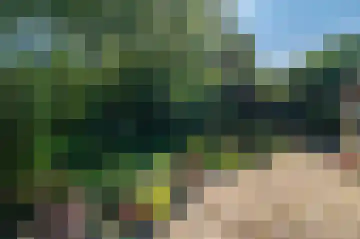 Veenweg 50 Beerta thumbnail 11