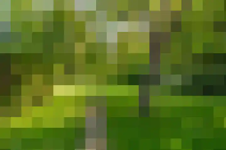 Veenweg 50 Beerta thumbnail 12