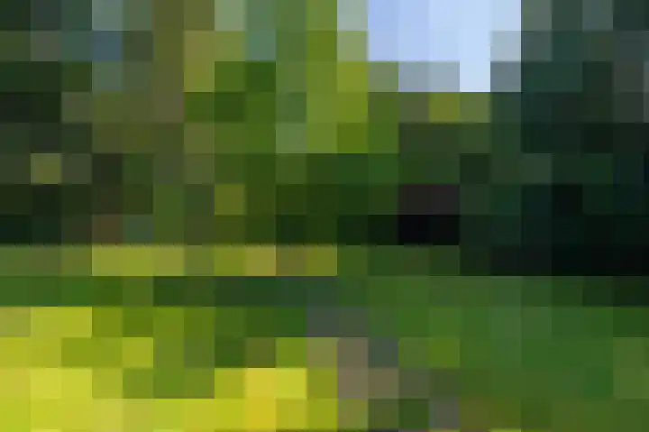 Veenweg 50 Beerta thumbnail 13