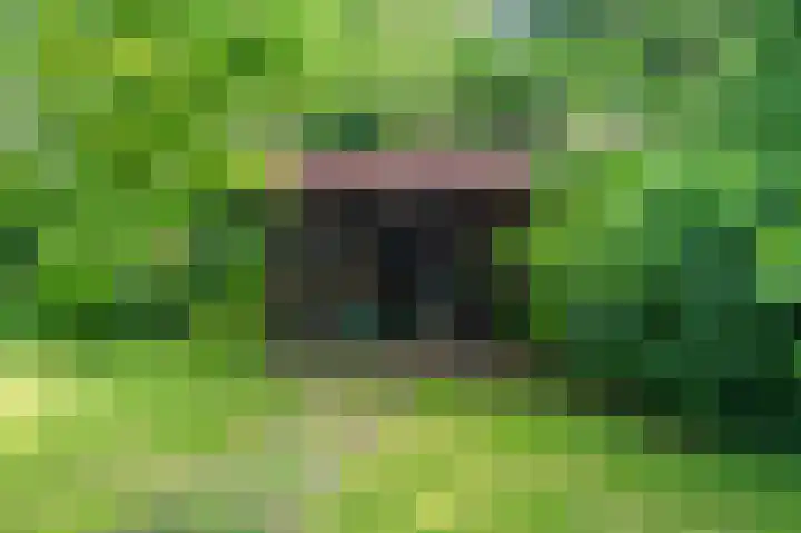 Veenweg 50 Beerta thumbnail 14