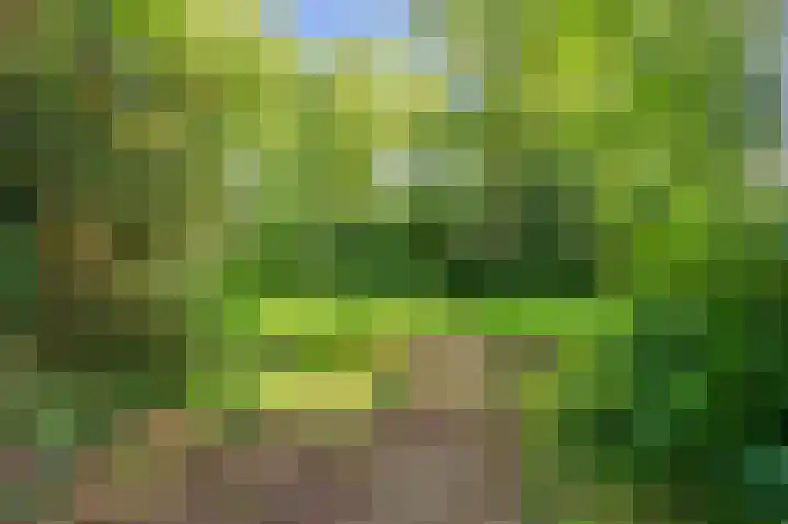 Veenweg 50 Beerta thumbnail 15