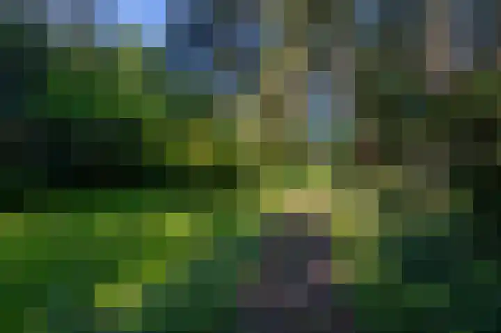 Veenweg 50 Beerta thumbnail 16