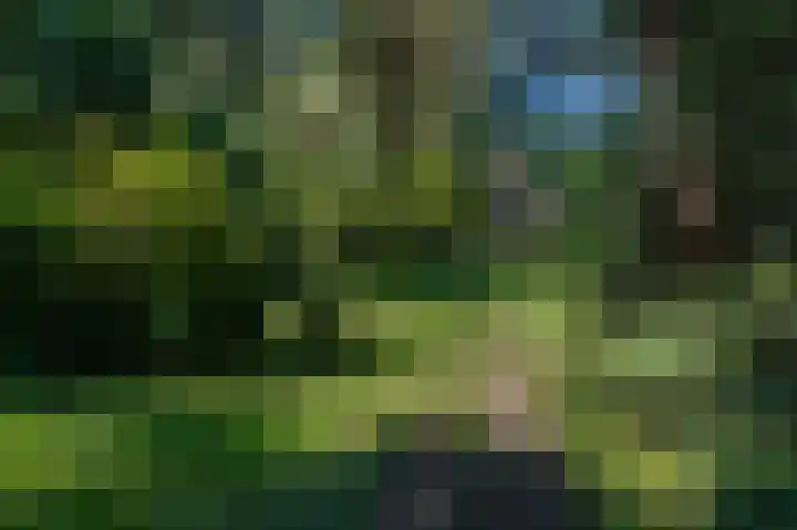 Veenweg 50 Beerta thumbnail 17