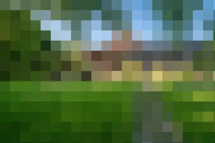 Veenweg 50 Beerta thumbnail 18